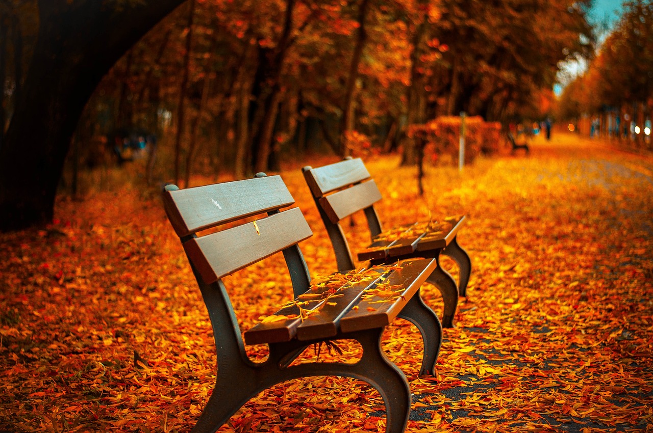 Fall in the Delaware Valley: A Whimsical Journey Through Colors and Culture